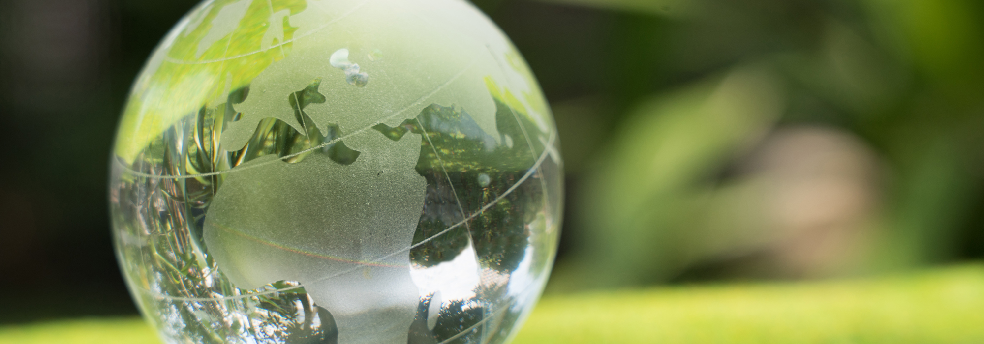 globe