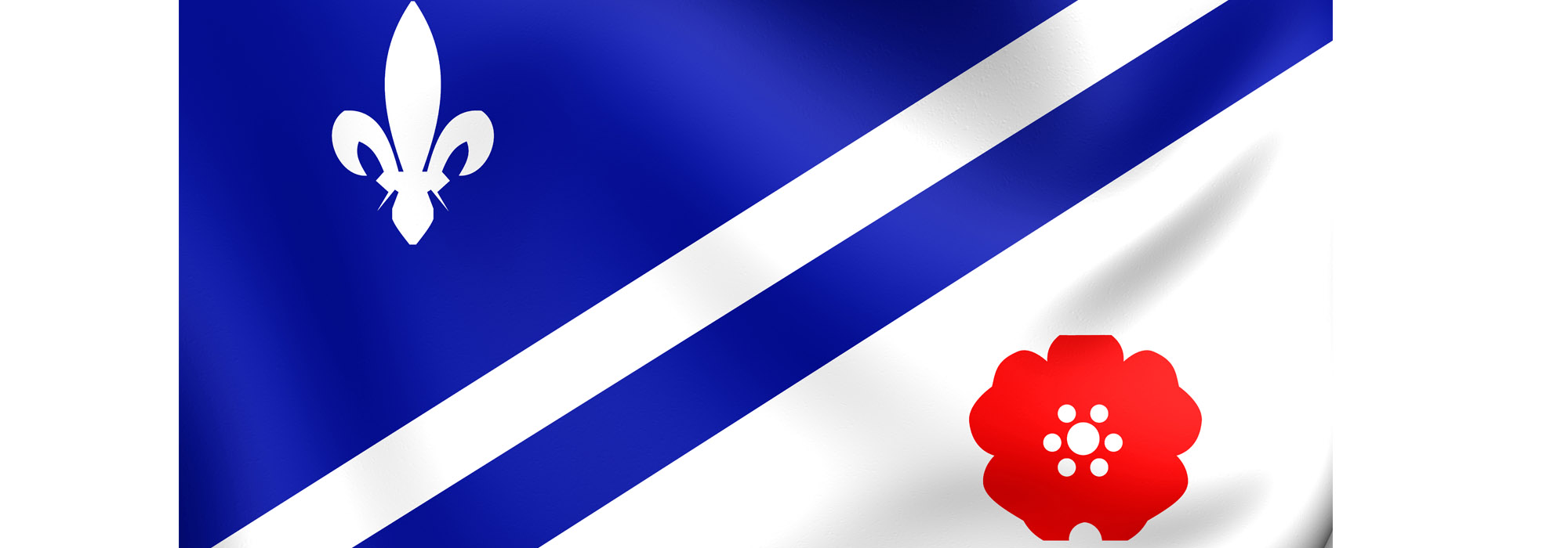3dflagofthefrancoalbertains-3