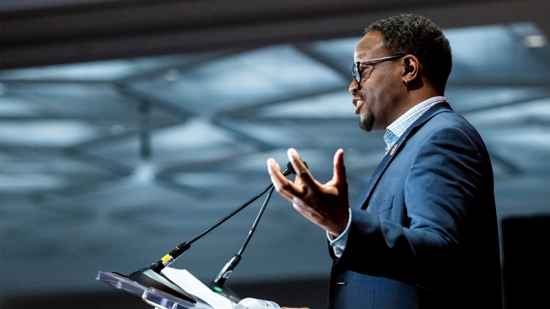 A-Multiplicity-of-Birdsong