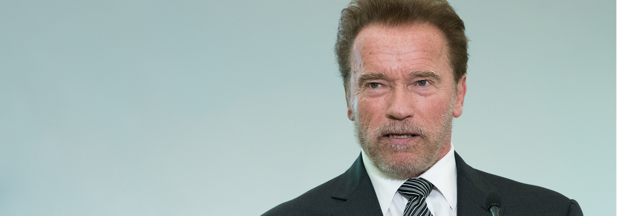 ARNOLD1