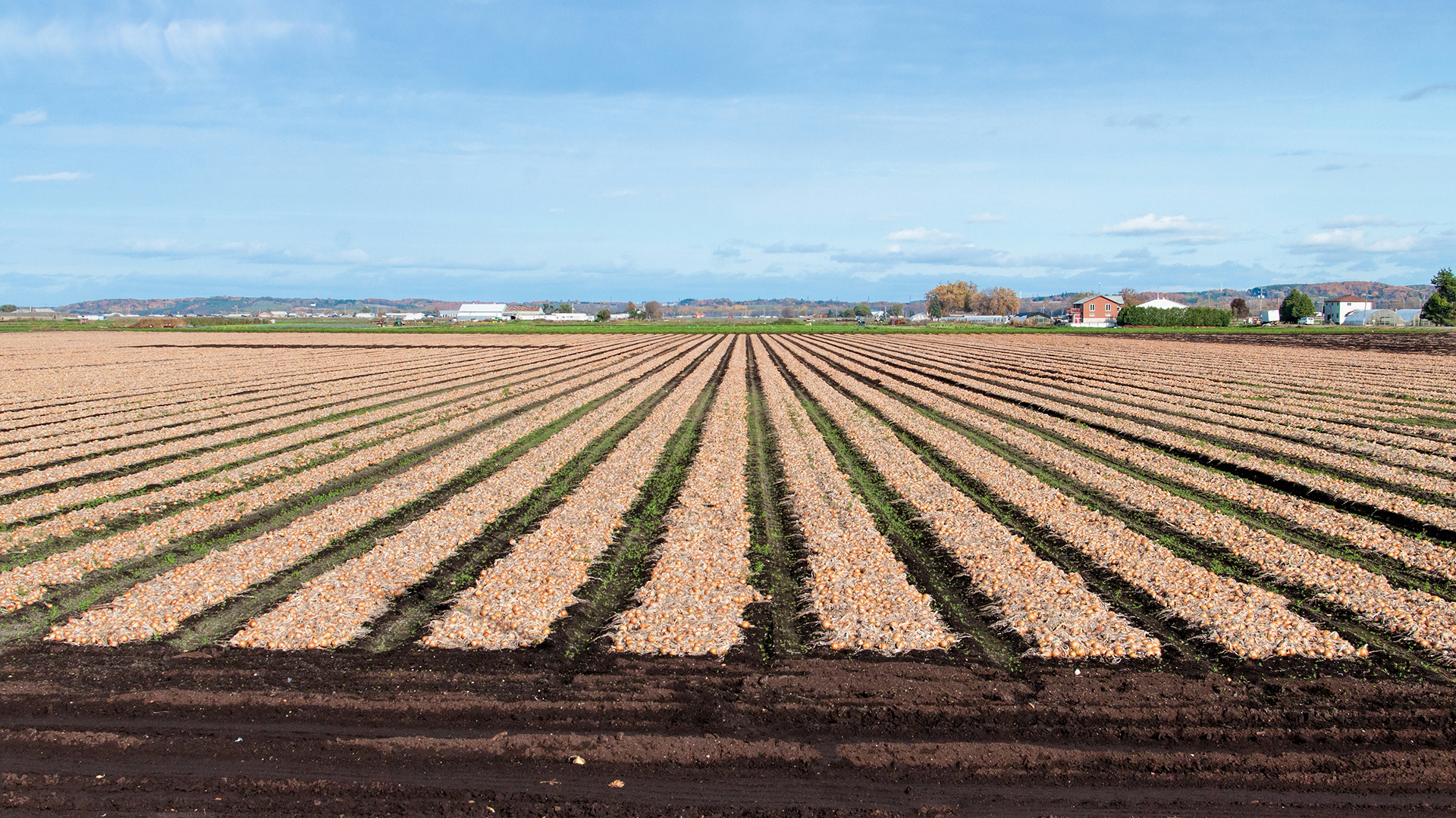 Action-is-needed-to-support-Ontario-farmers