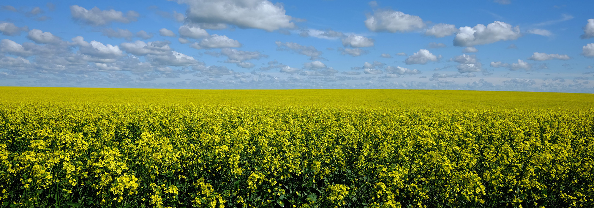 Agriculture