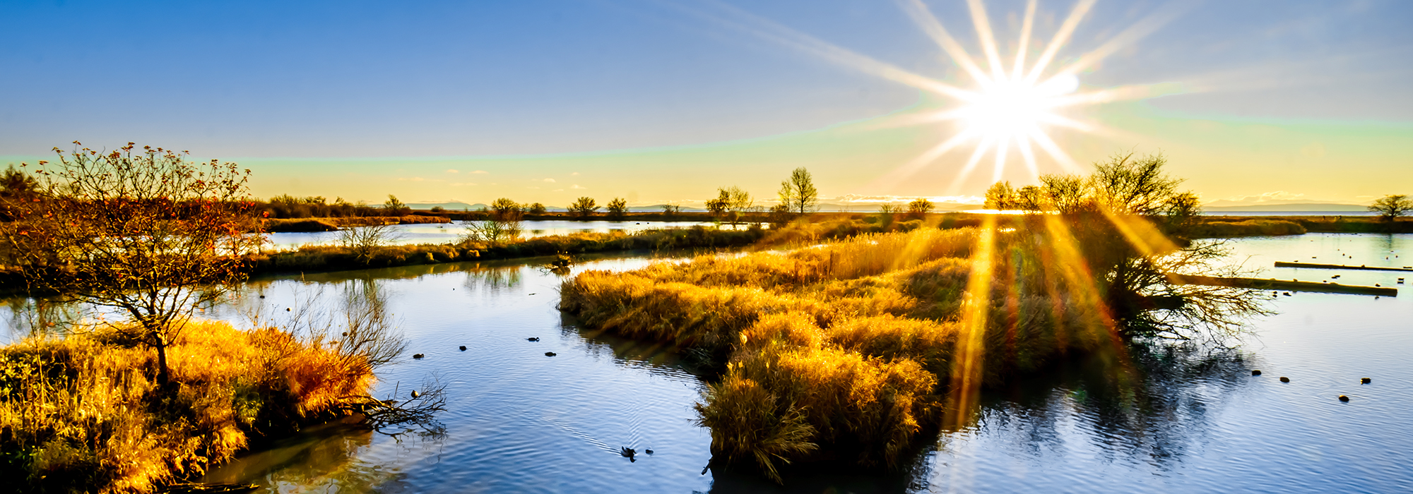 An-epic-move-to-protect-nature-could-help-unite-the-country