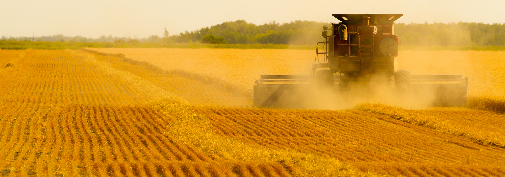 COVID-19-exposed-the-urgent-need-for-an-agri-food-labour-strategy