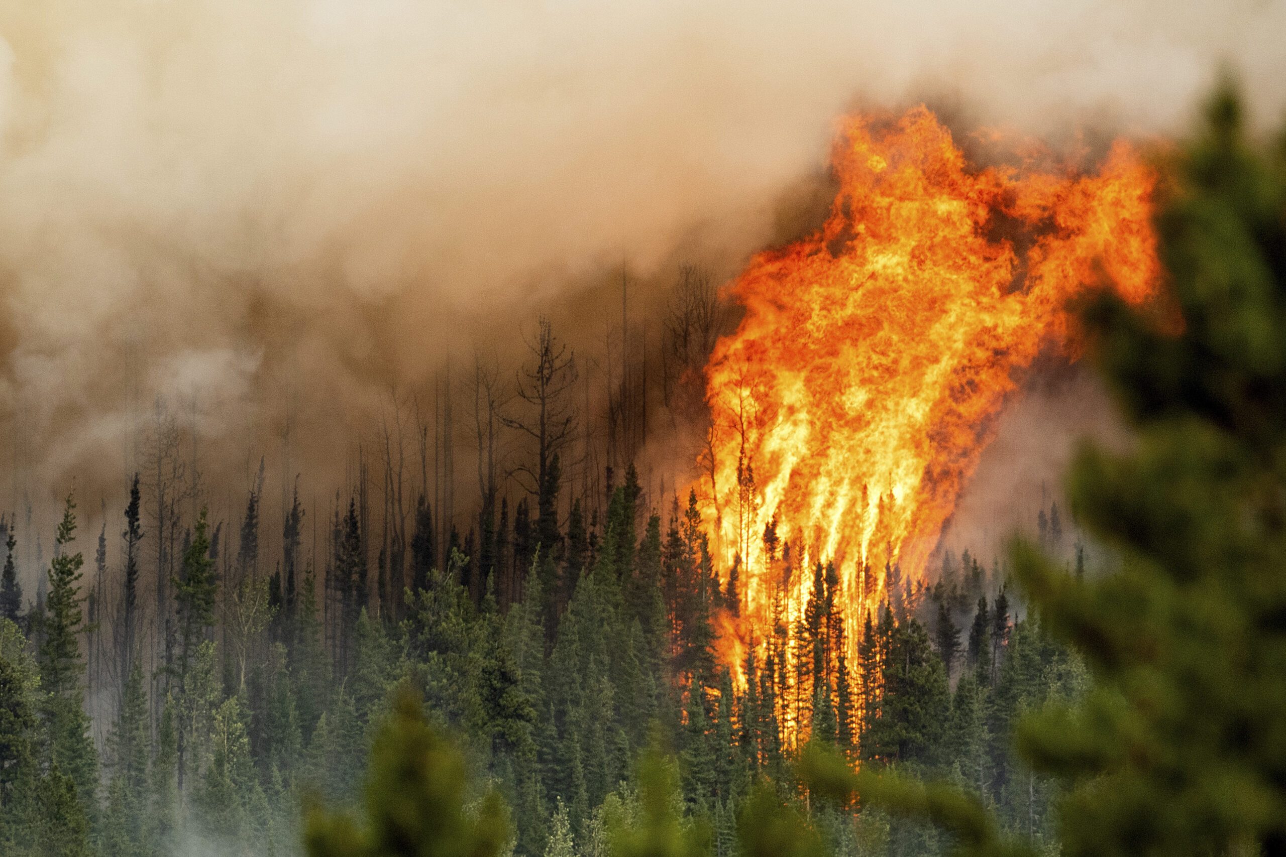 Seen from the air, a huge fireball engulfs a swatch of the forest, with thick smoke in the distance in shades of dark to light brown.