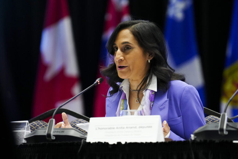 Anita Anand wearing a purple coat speaks at a table with Canadian flags in soft focus in the background.