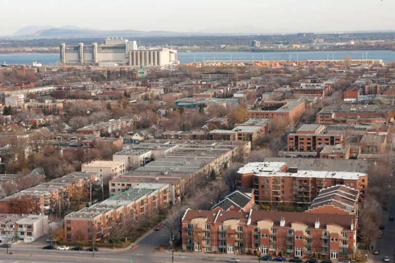 Vue aérienne des rues du quartier avec le fleuve Saint-Laurent au loin. Le quartier est caractérisé par des maisons en rangée et des plex en brique de trois et quatre étages, avec des arbres matures le long de la plupart des rues.