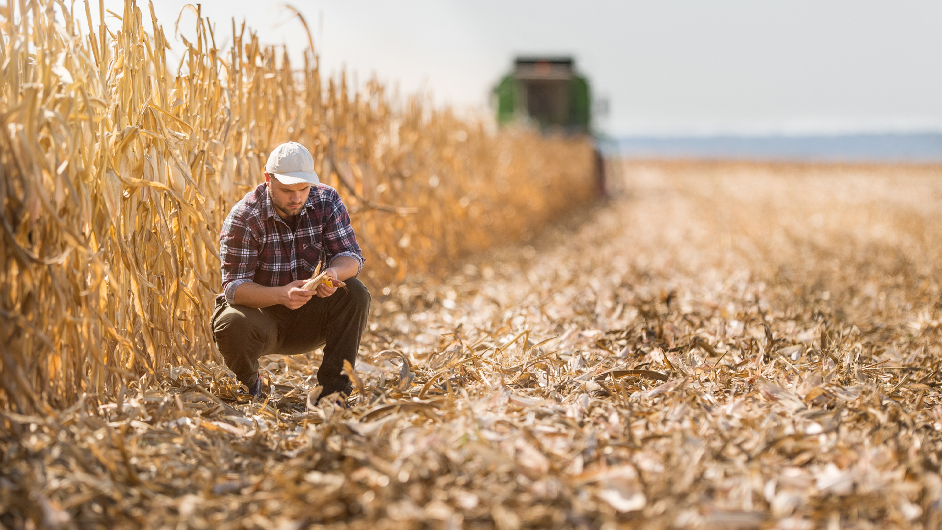 Canada-needs-a-bold-new-soil-health-strategy