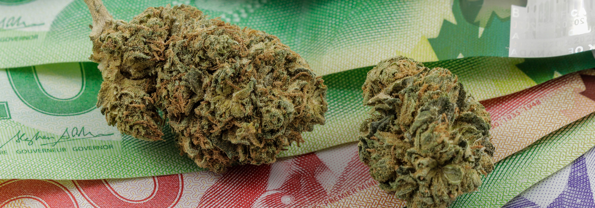 Cannabis-September-5