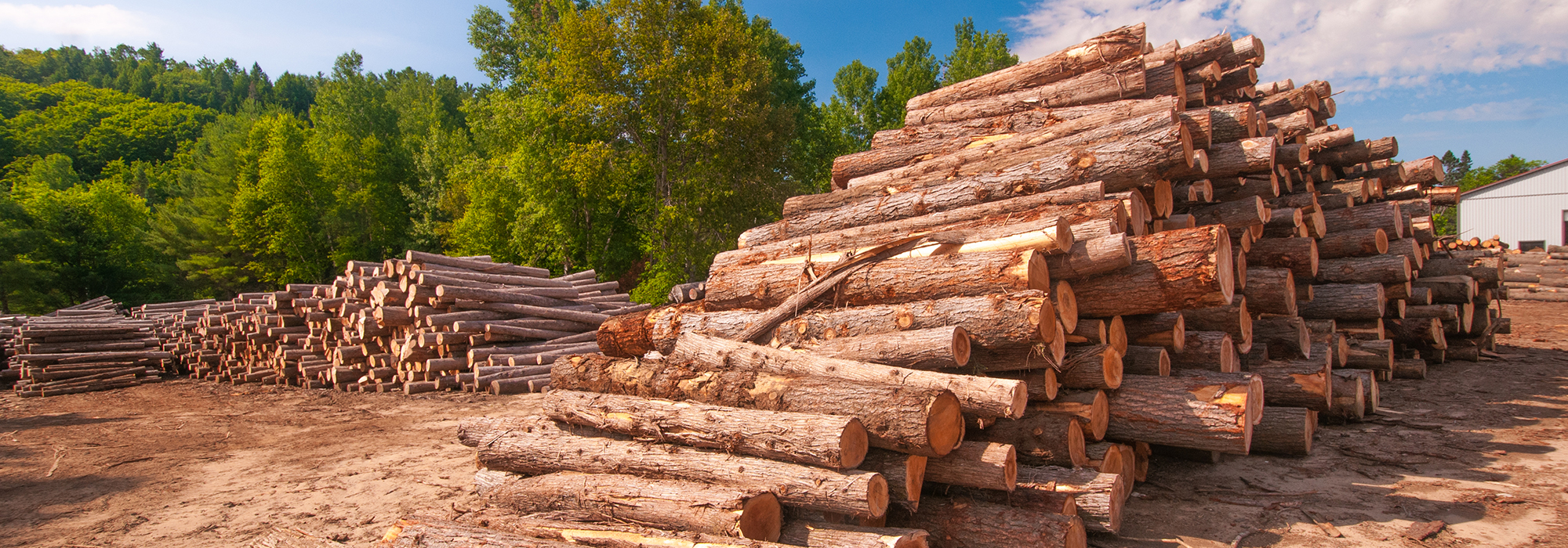 Could-climate-policy-become-climate-trade