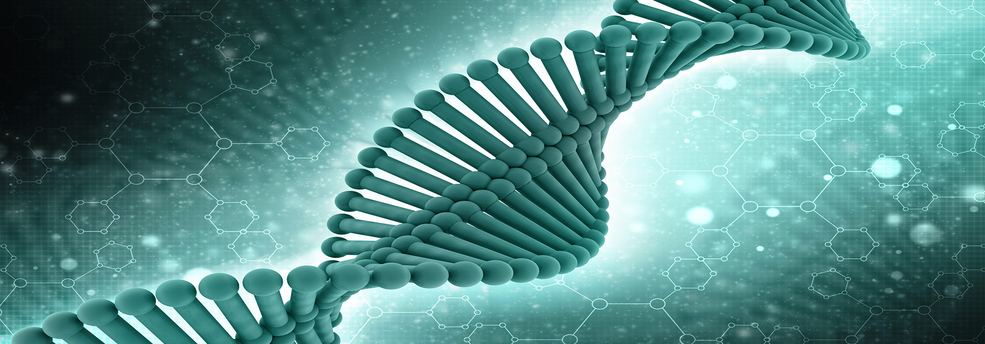 DNA-Structure