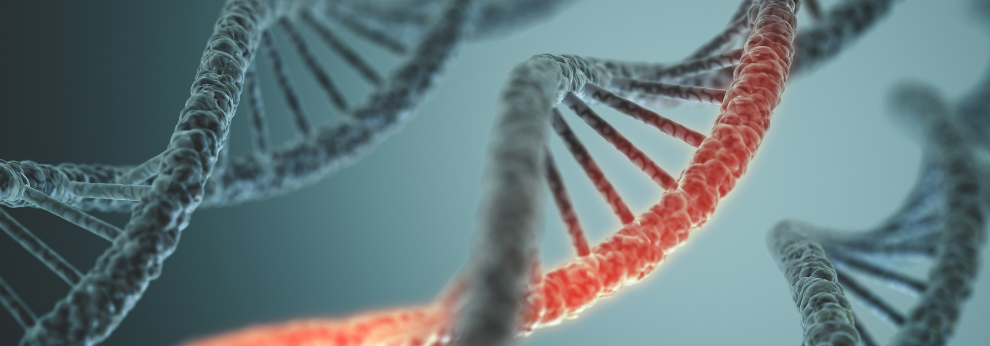 DNA