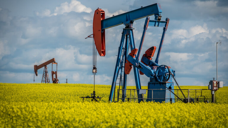 Two pump jacks in a canola field in Saskatchewan.