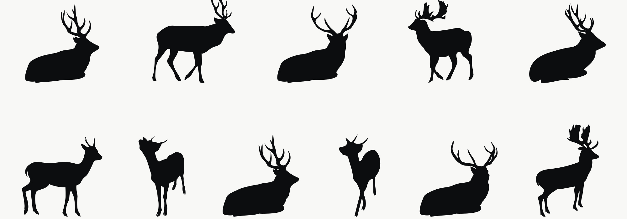 Food-protection-agencys-approach-to-chronic-wasting-disease-is-immoral