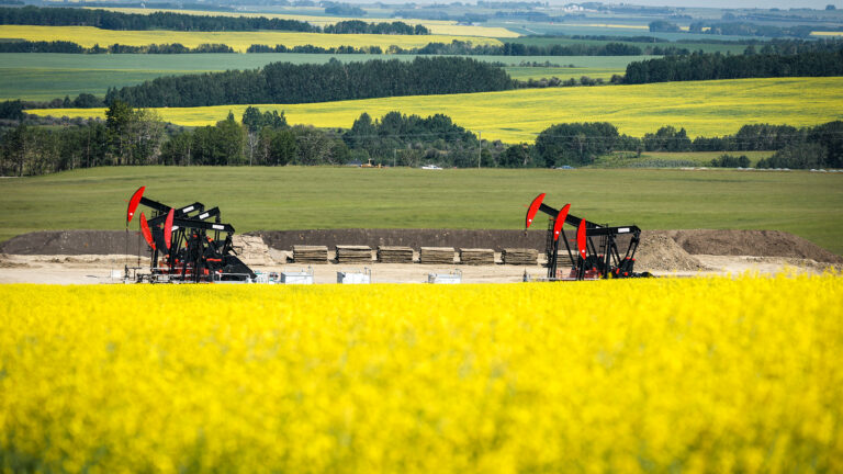 Six red-headed pumpjacks stand amid green and yellow grain fields.