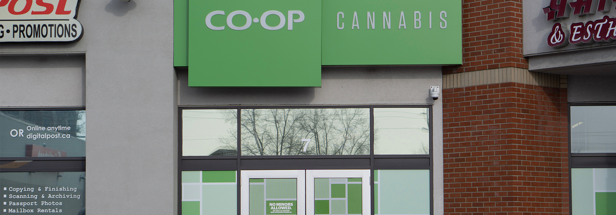 How-Alberta-became-Canadas-runaway-cannabis-leader-
