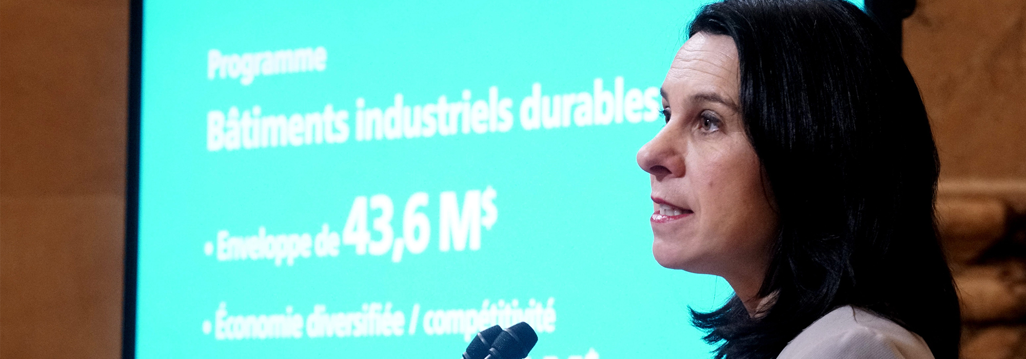 Only-a-fifth-of-Canadian-mayors-are-women-1