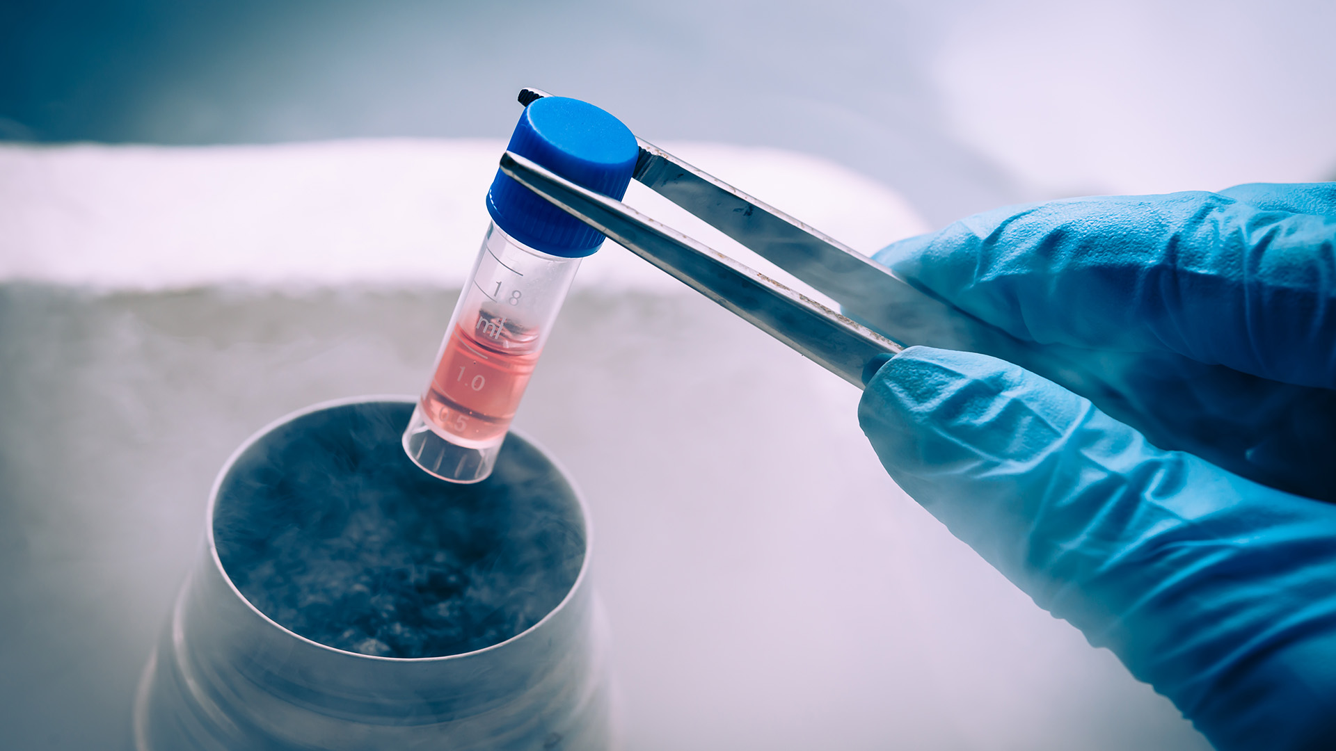 PO_TurnerStemCells