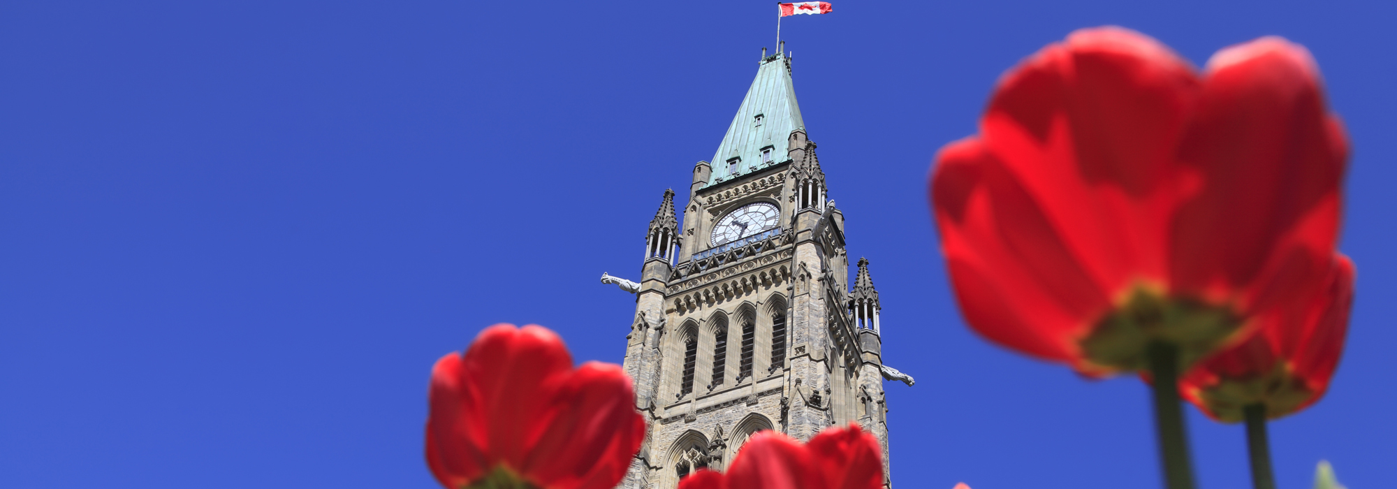Parlement-Ottawa
