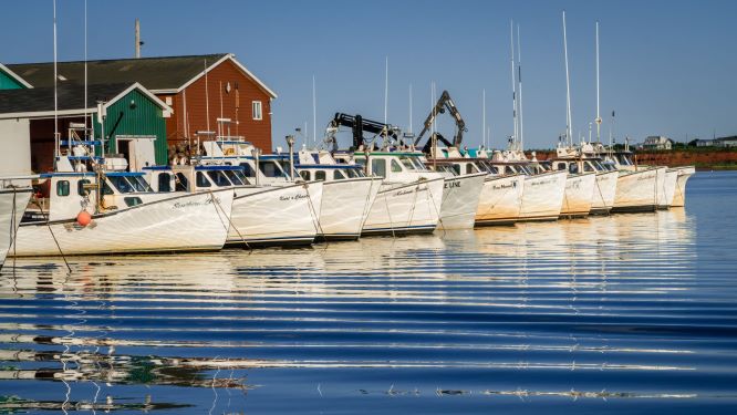 Small-scale-fisheries-can-have-a-big-future-in-Canadas-food-systems-1