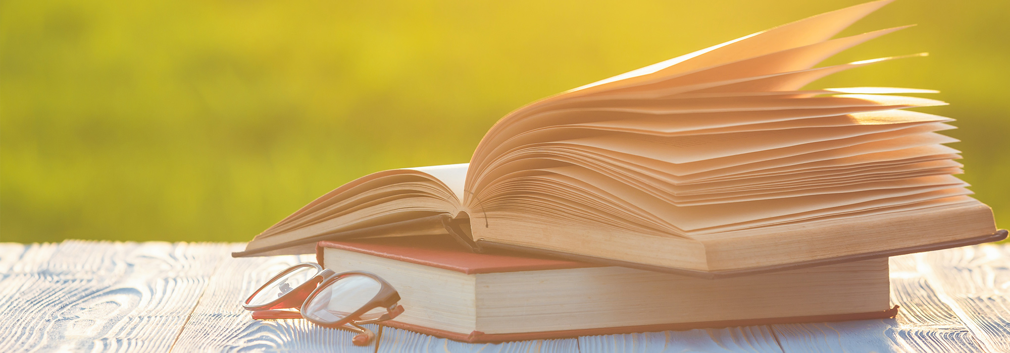 Summer-reading-for-wonks