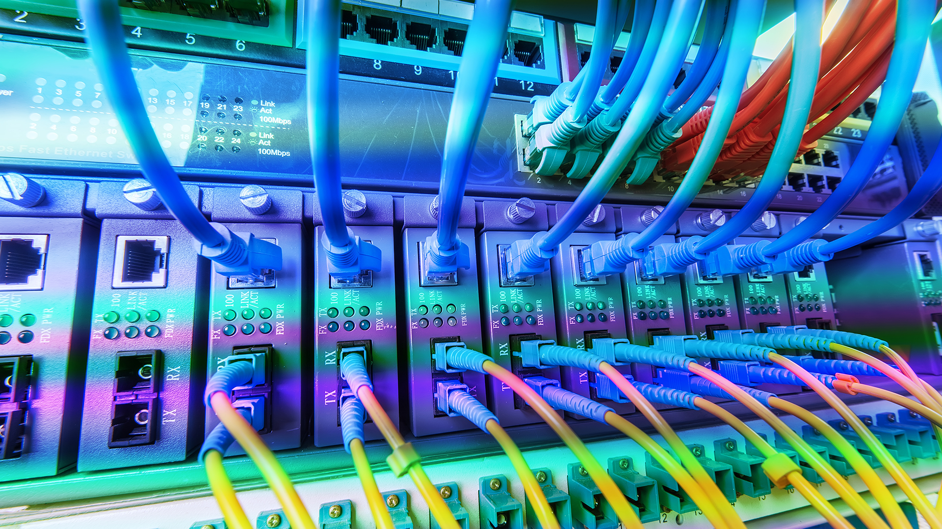A bank of cables connect to network ports.
