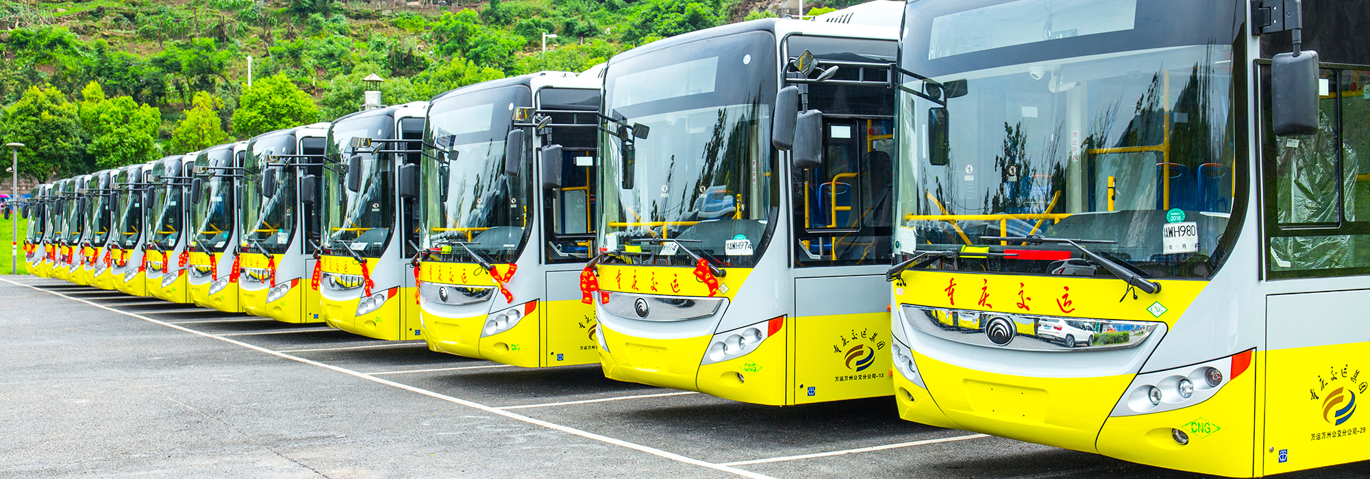 The-challenge-for-EVs-to-disrupt-trucks-and-buses
