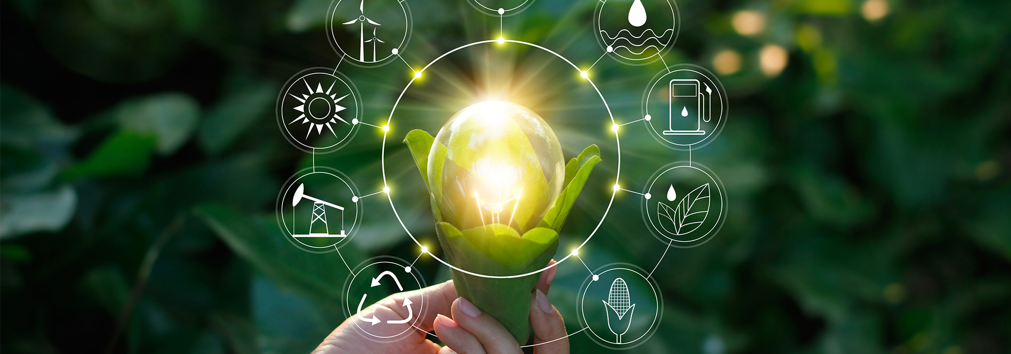 The-future-of-energy
