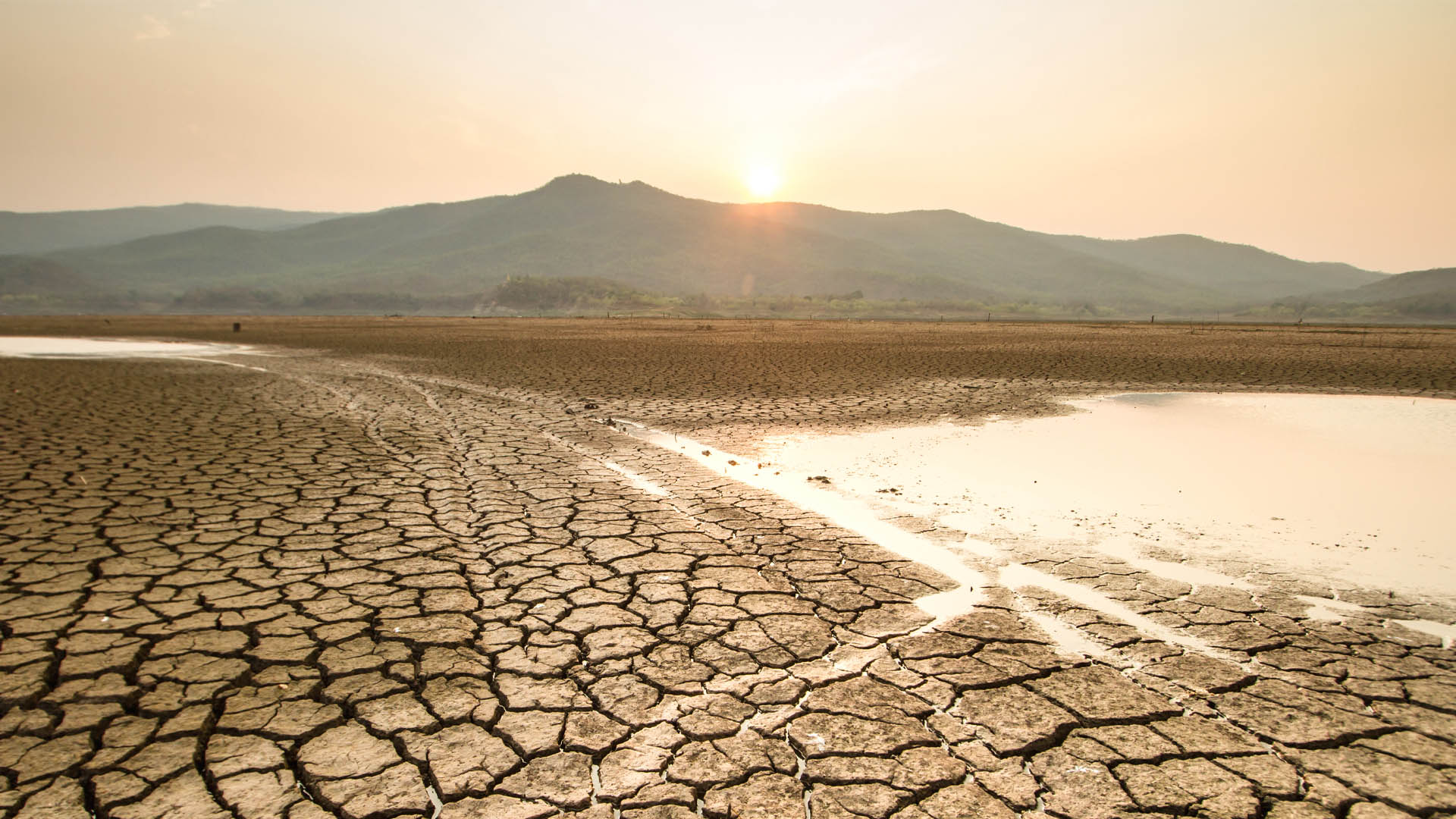 The-insincere-sincerity-of-climate-policy-in-the-2021-election