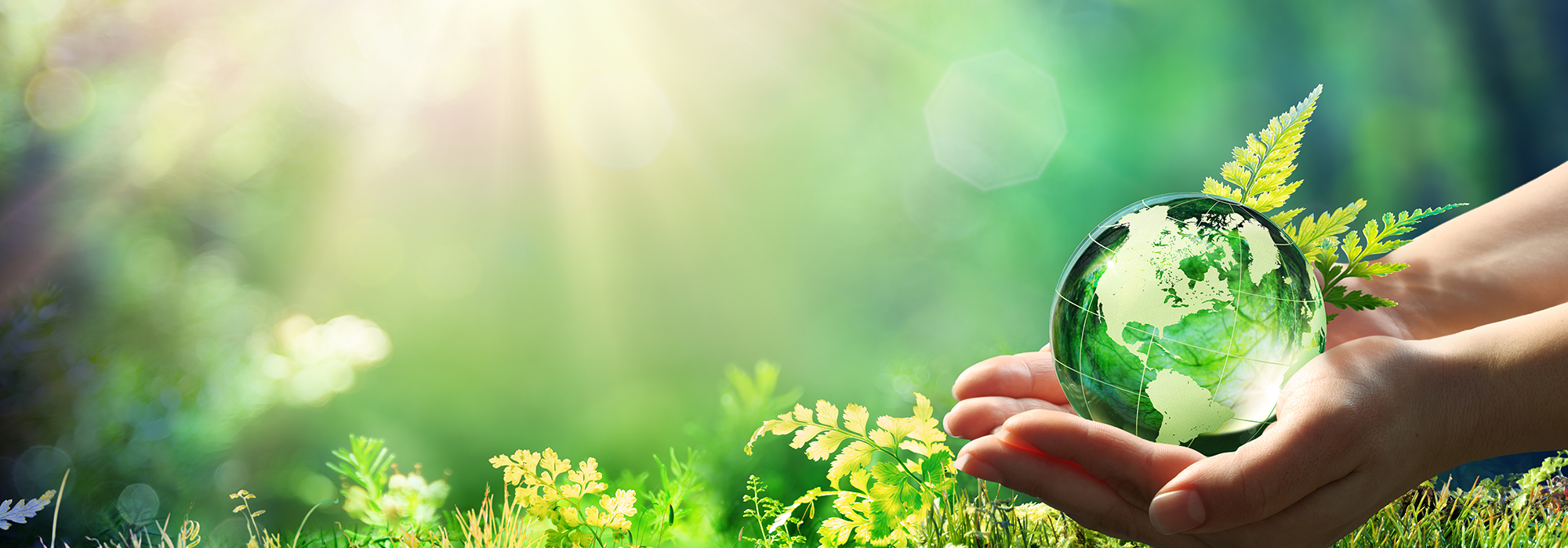 Time-for-new-measures-of-economic-success-and-social-well-being