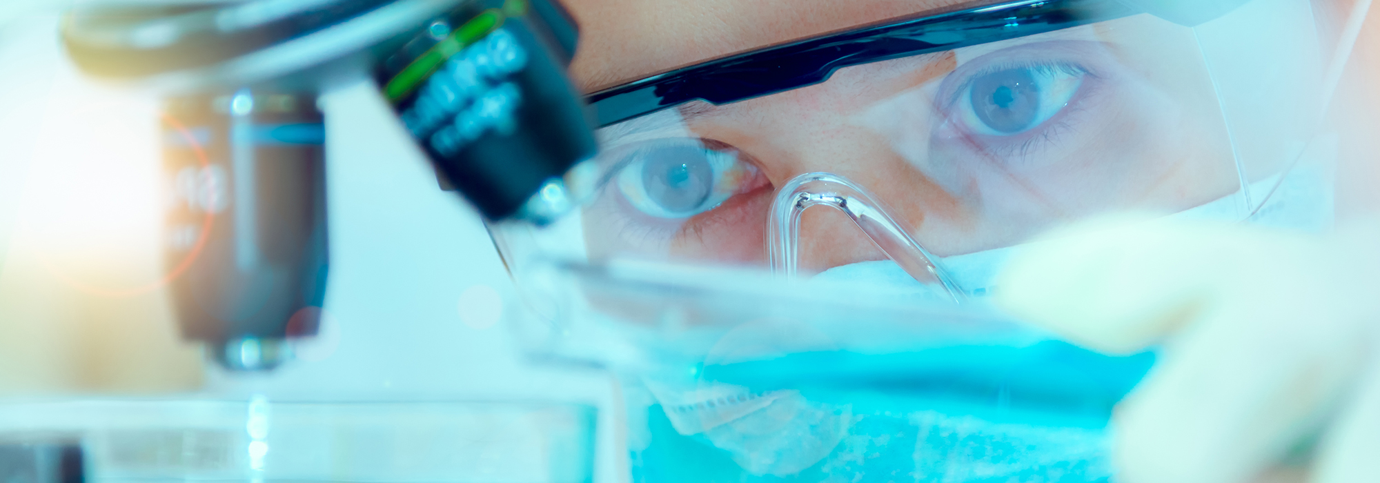 To-Sell-or-Scale-Up-Canadas-Patent-Strategy-in-a-Knowledge-Economy