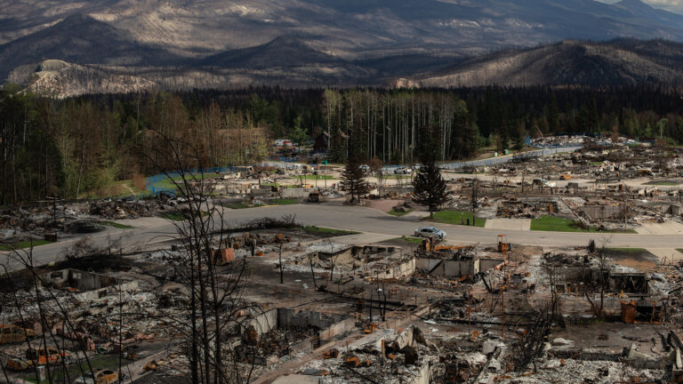 Only the foundations remain of the homes, with piles of ashes everywhere, a few blackened trees still standing in the neighbourhood.