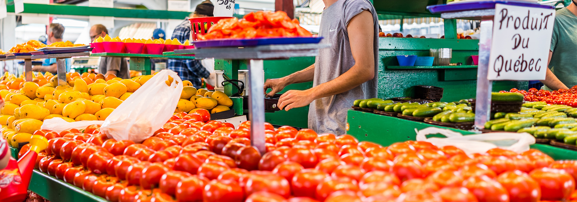 WP-tomates-2