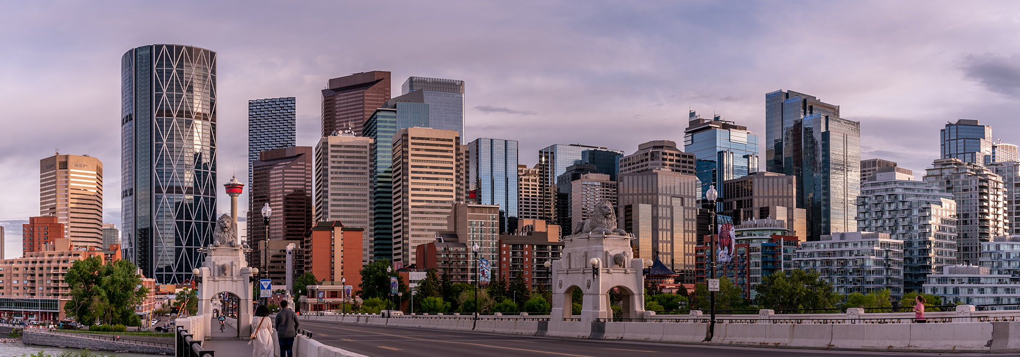 Will-Alberta-be-the-buffalo-in-the-federations-china-shop
