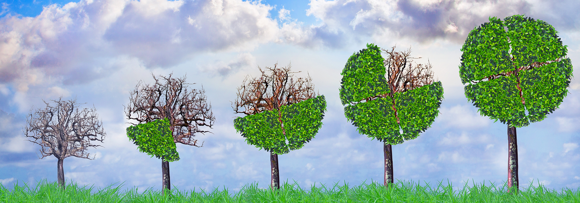 Will-COVID-19-be-a-pivotal-moment-for-sustainable-investing