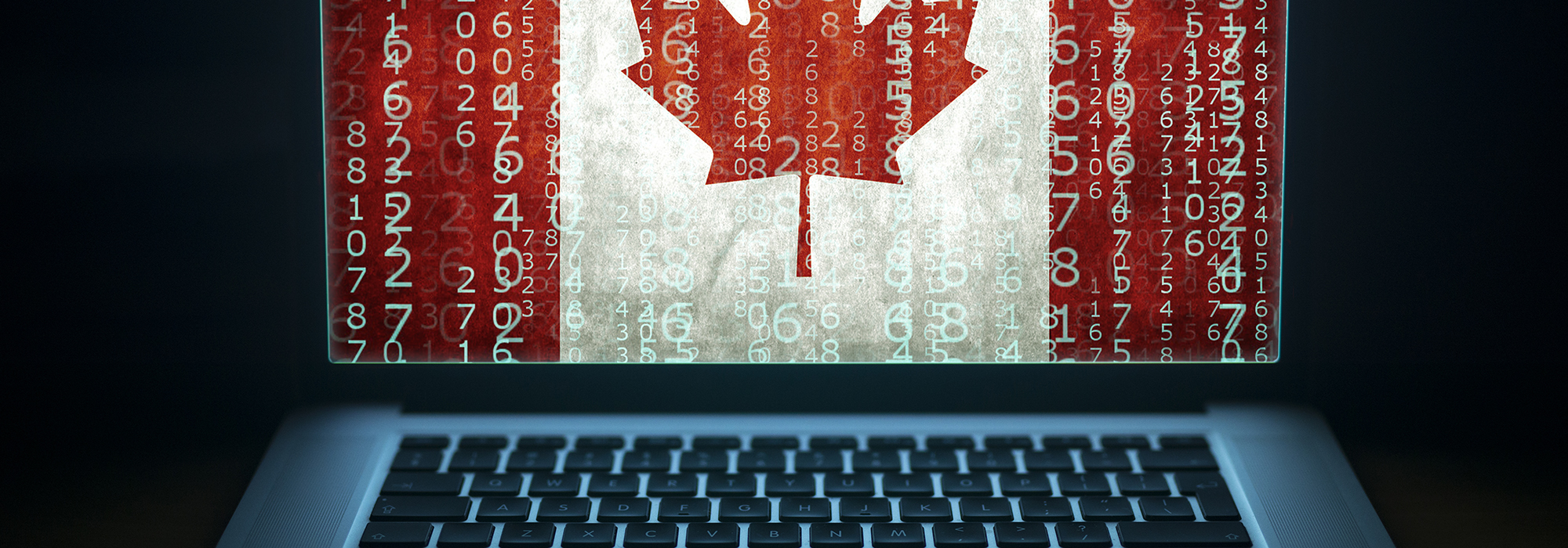 Wiring-public-policy-for-digital-government