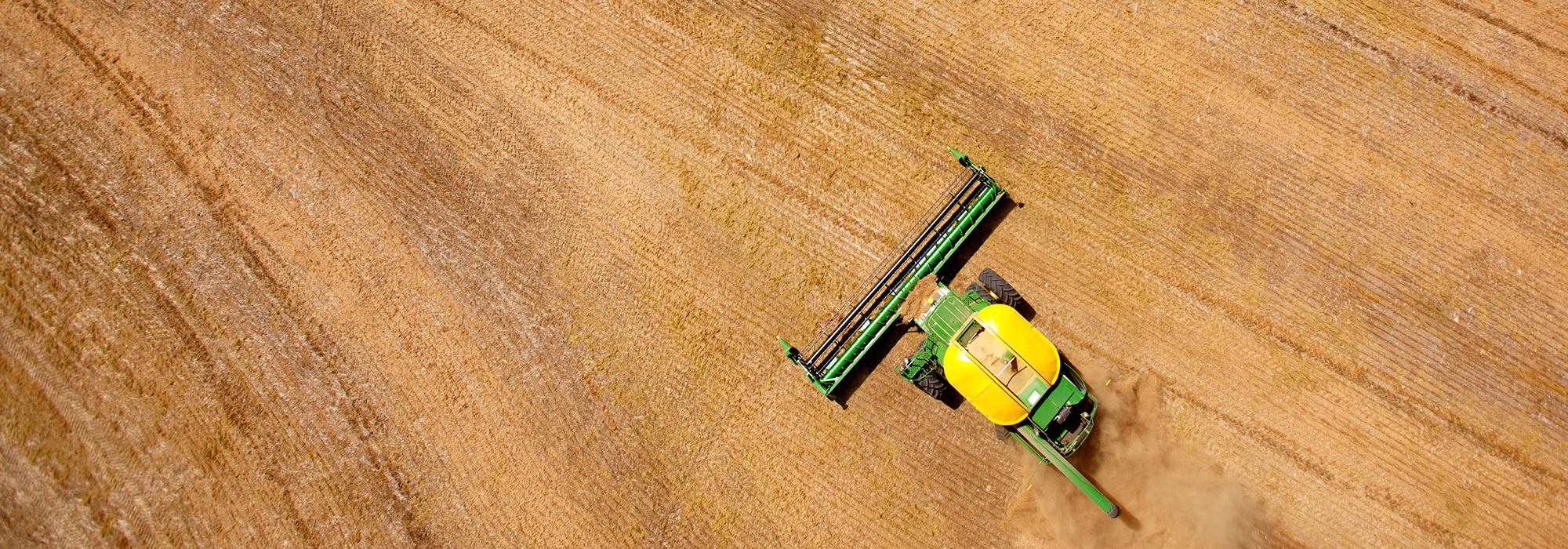 WordPress-Agri-food