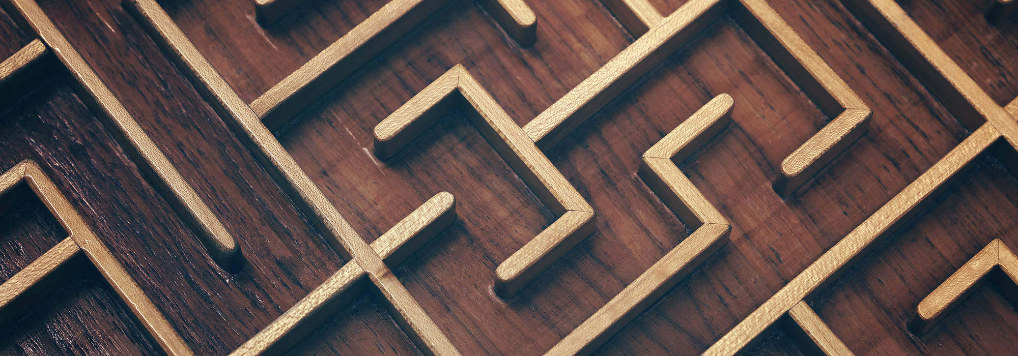 WordPress-Hicks-August-1