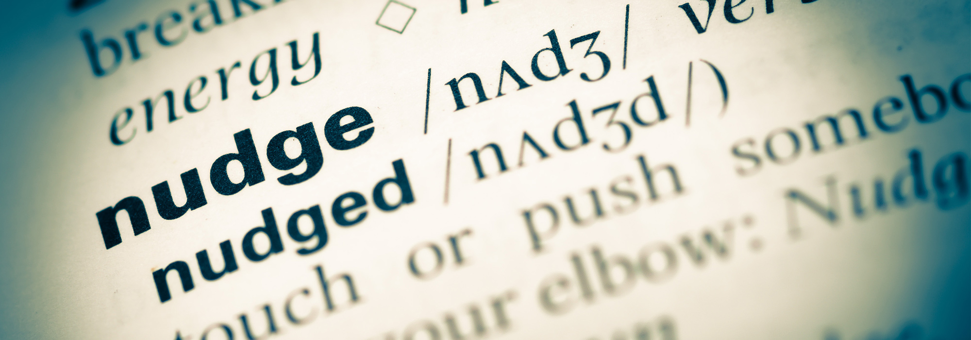 WordPress-Image-14