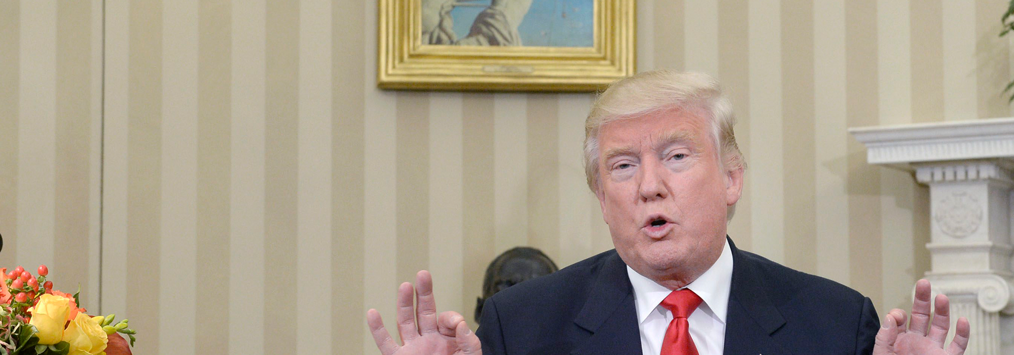 WordPress-Image-Donald-Trump-1