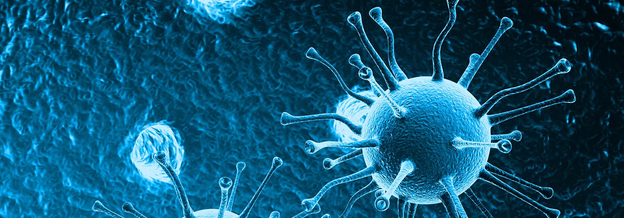 WordPress-Image-Zika-New