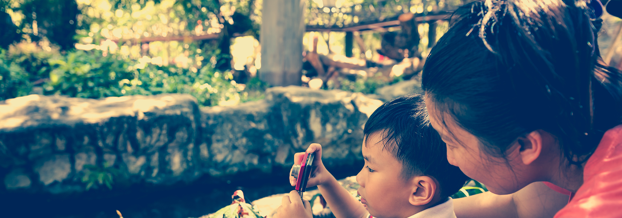 WordPress-Image-autism-2