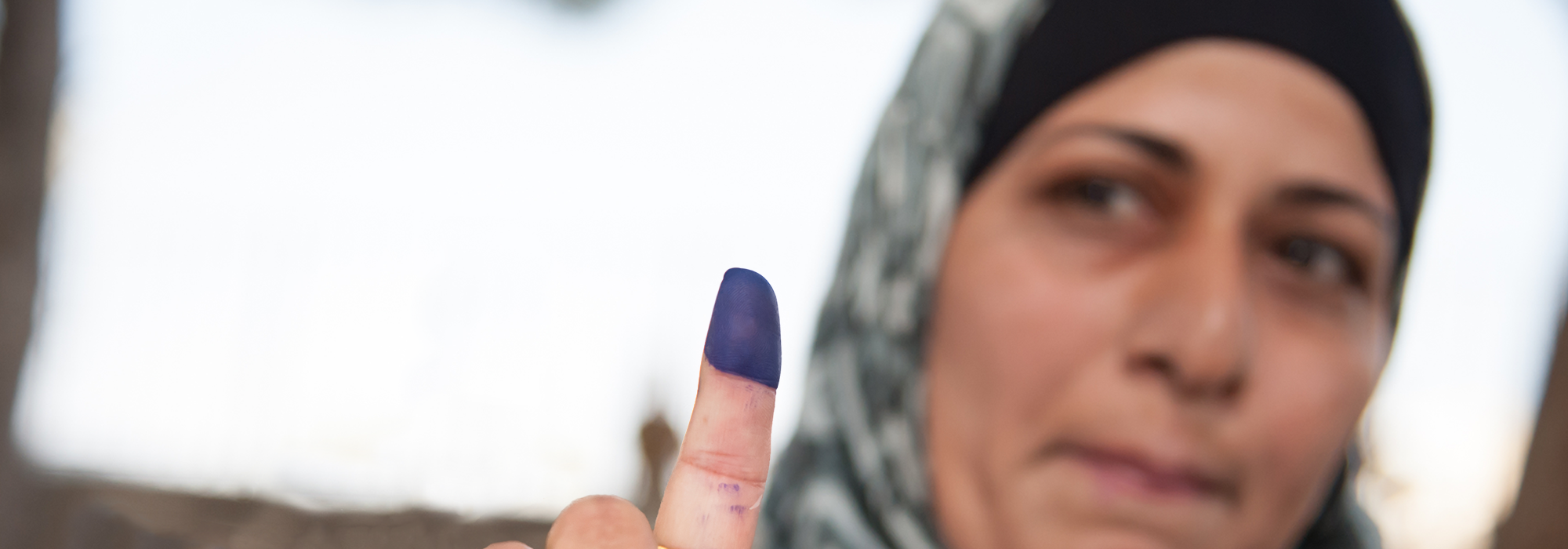 WordPress-Image-democracy-promotion-picture