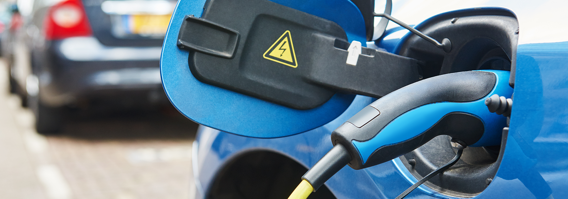 WordPress-Image-electric-catr-1