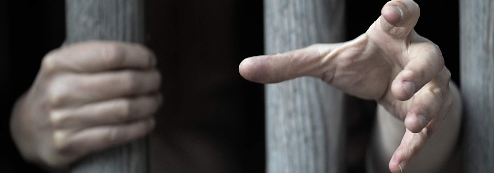 WordPress-Image-handsbar