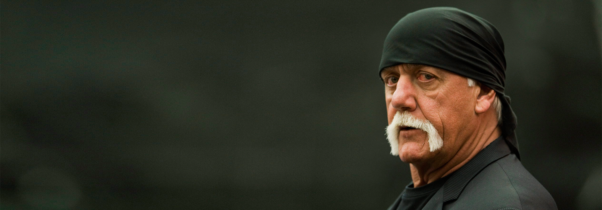WordPress-Image-hulk-hogan-1