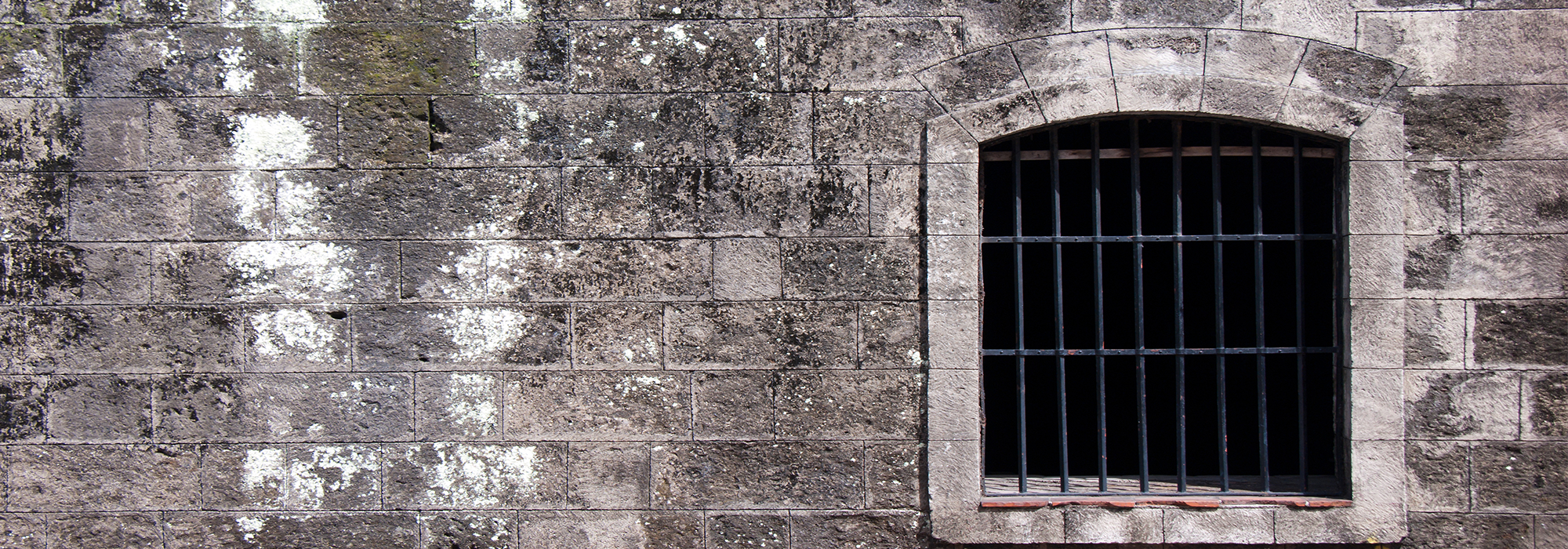 WordPress-Image-jail-cell-constitutional