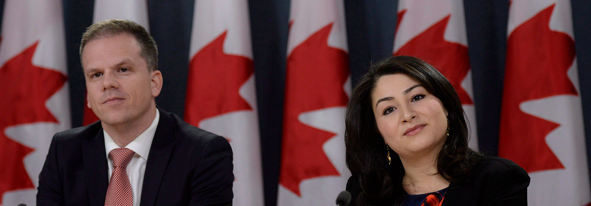 WordPress-Image-monsef-announcement-erre