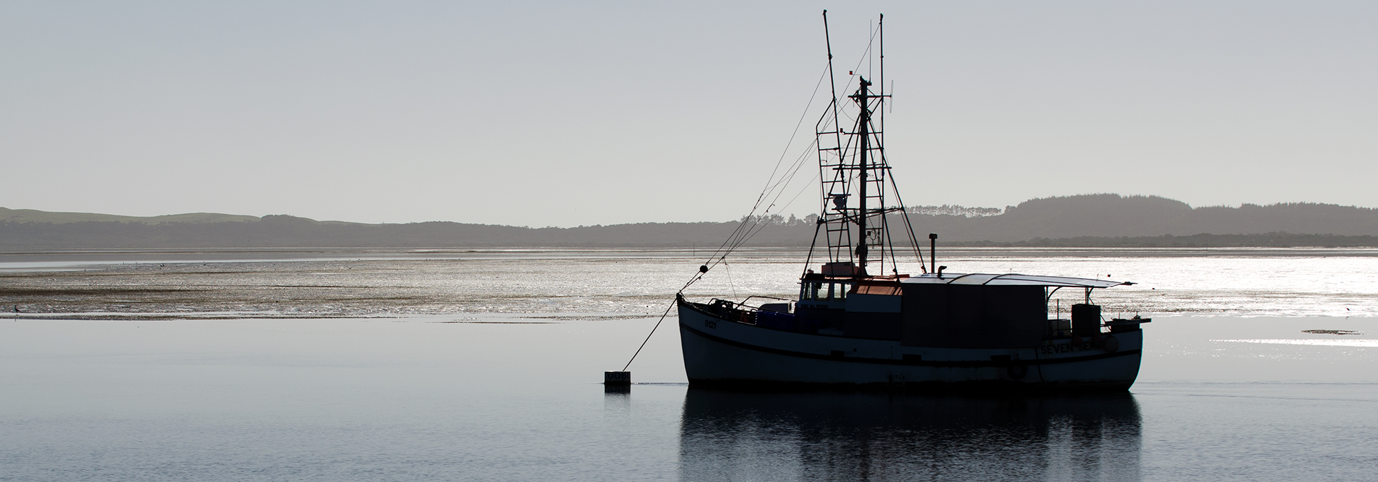WordPress-Image-new-zealand-fishing