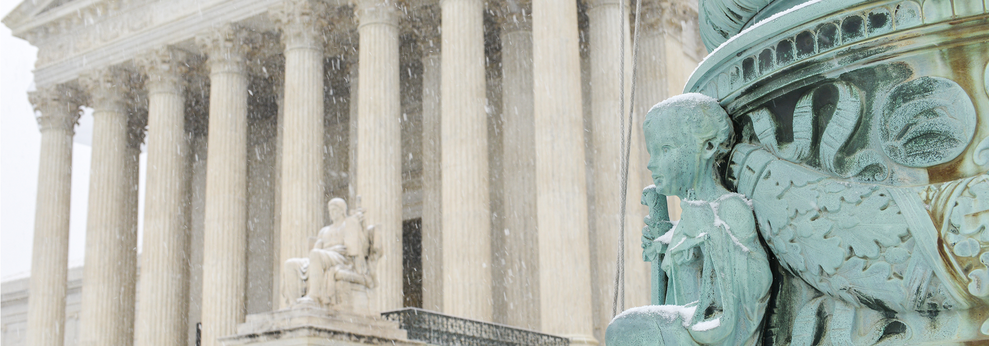 WordPress-Image-scalia-1